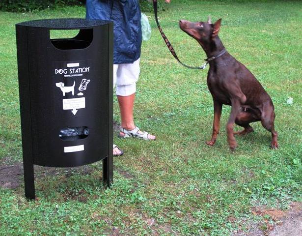 La fotografia mostra un contenitore per deiezioni canine M5, completo di dispenser sacchetti, in un parco cittadino.